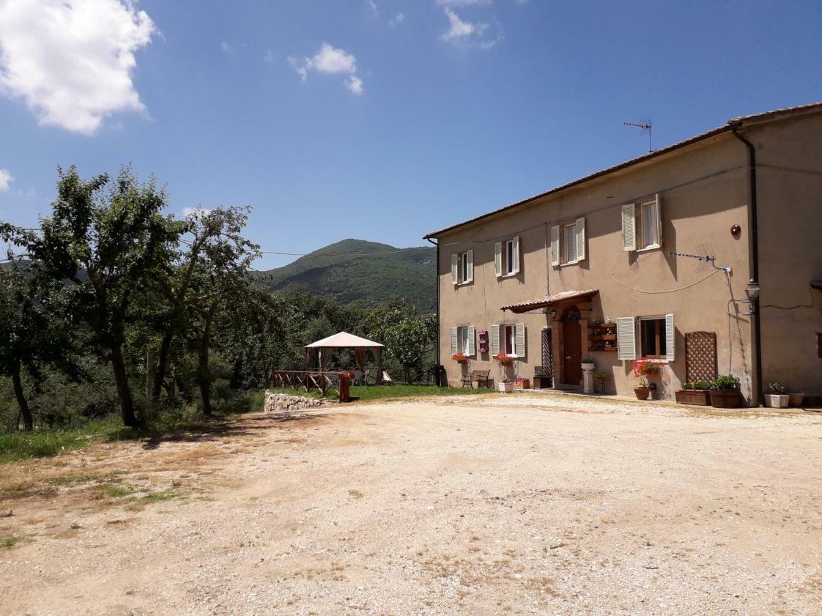 Alle Preci Country House Santa Restituta Exterior foto